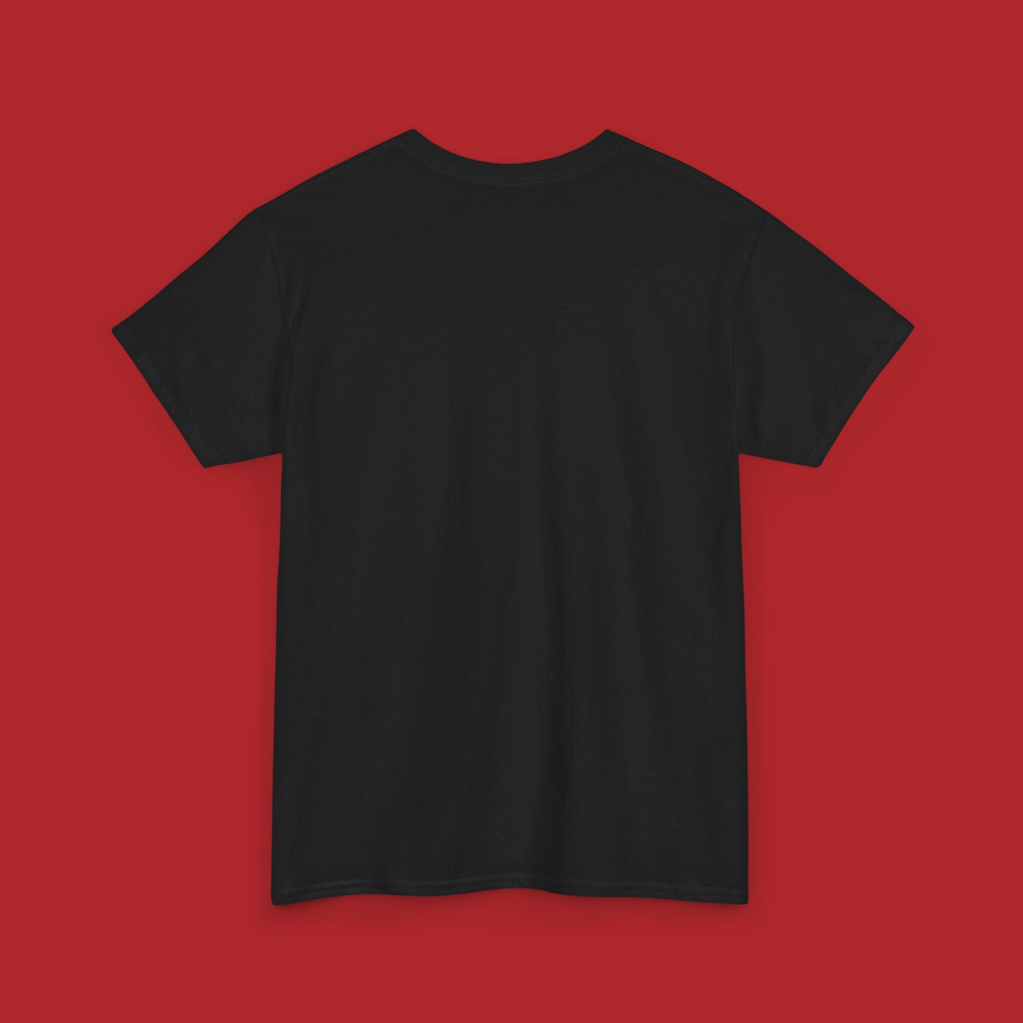 Premium cotton T-shirt with "Now I'm Mr. Charisma" and Dracula lyrics design, featuring bold text and graphic artwork.
