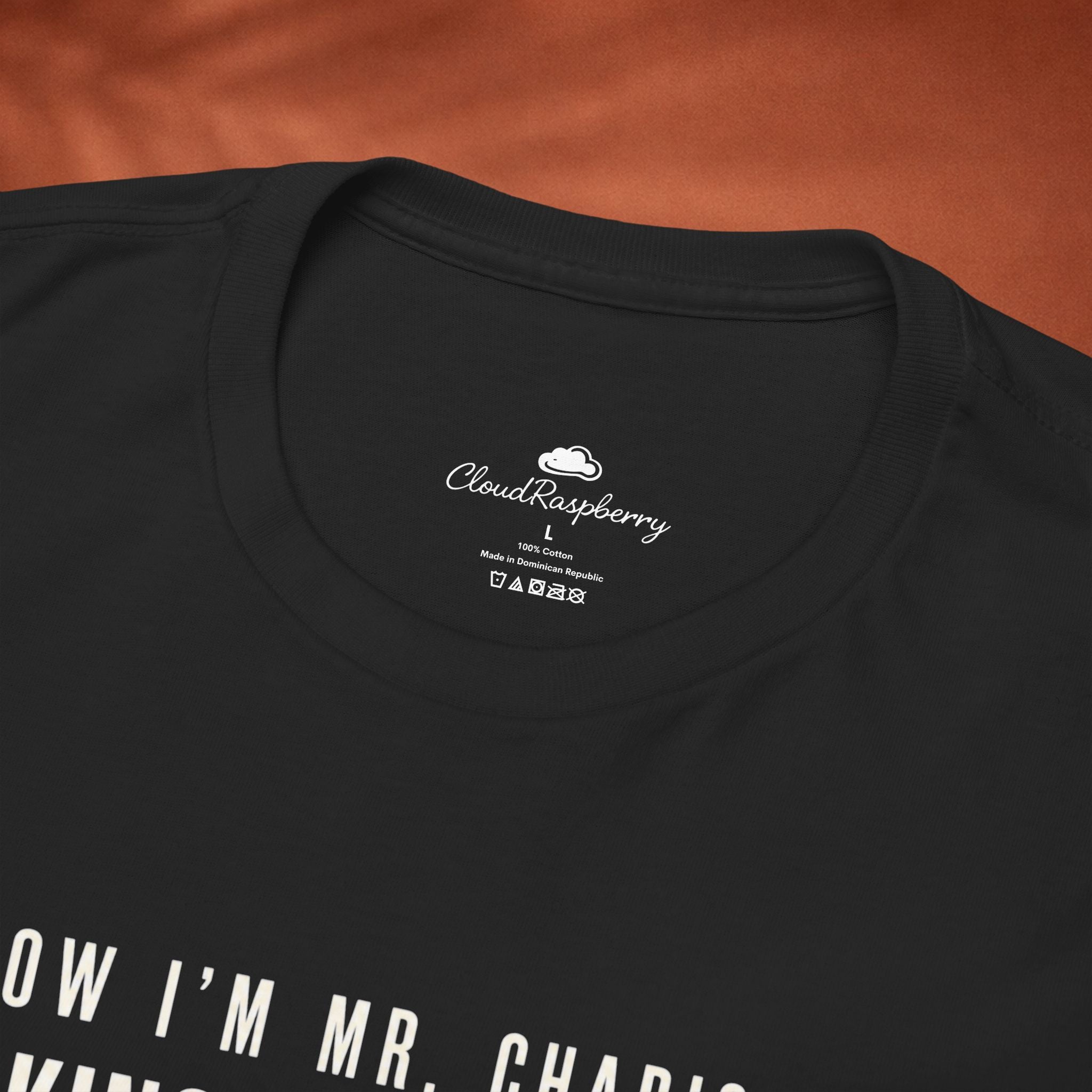 Premium cotton T-shirt featuring "Now I'm Mr. Charisma" and Dracula lyrics, with a bold graphic design by Printify.